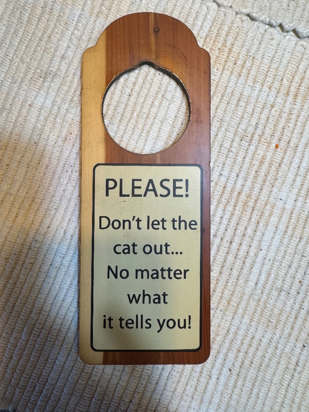 Cat Door Hanger